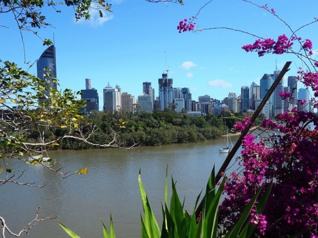 panorama Brisbane z kwiatami