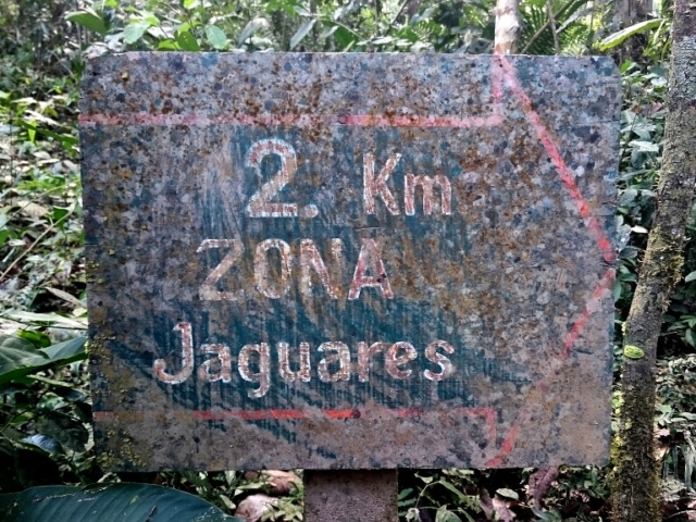 Znak strefa jaguarów 2 km